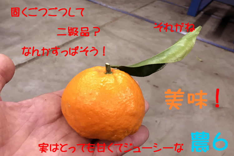 かん様 000000000721-01.jpg